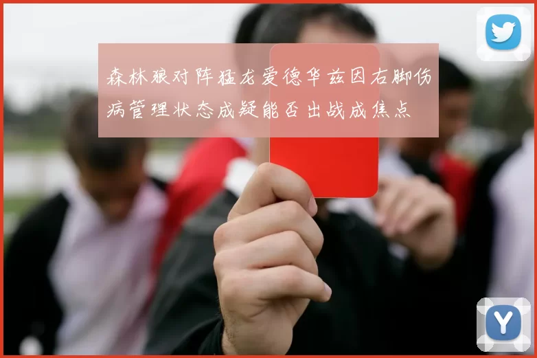 森林狼对阵猛龙爱德华兹因右脚伤病管理状态成疑能否出战成焦点