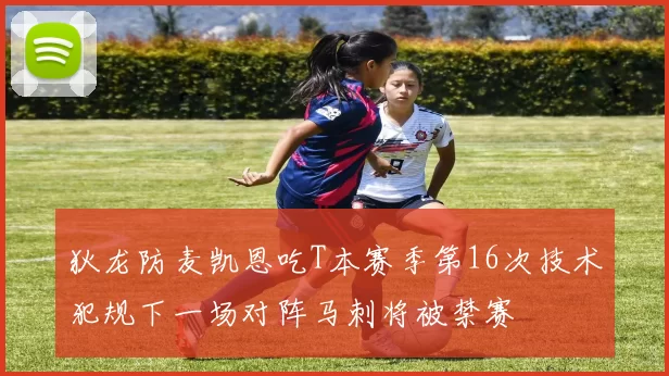 狄龙防麦凯恩吃T本赛季第16次技术犯规下一场对阵马刺将被禁赛